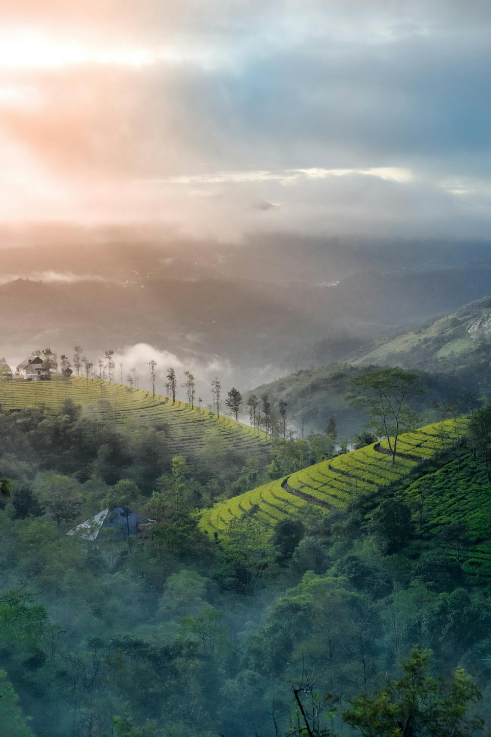8 Best Places to Visit in Munnar