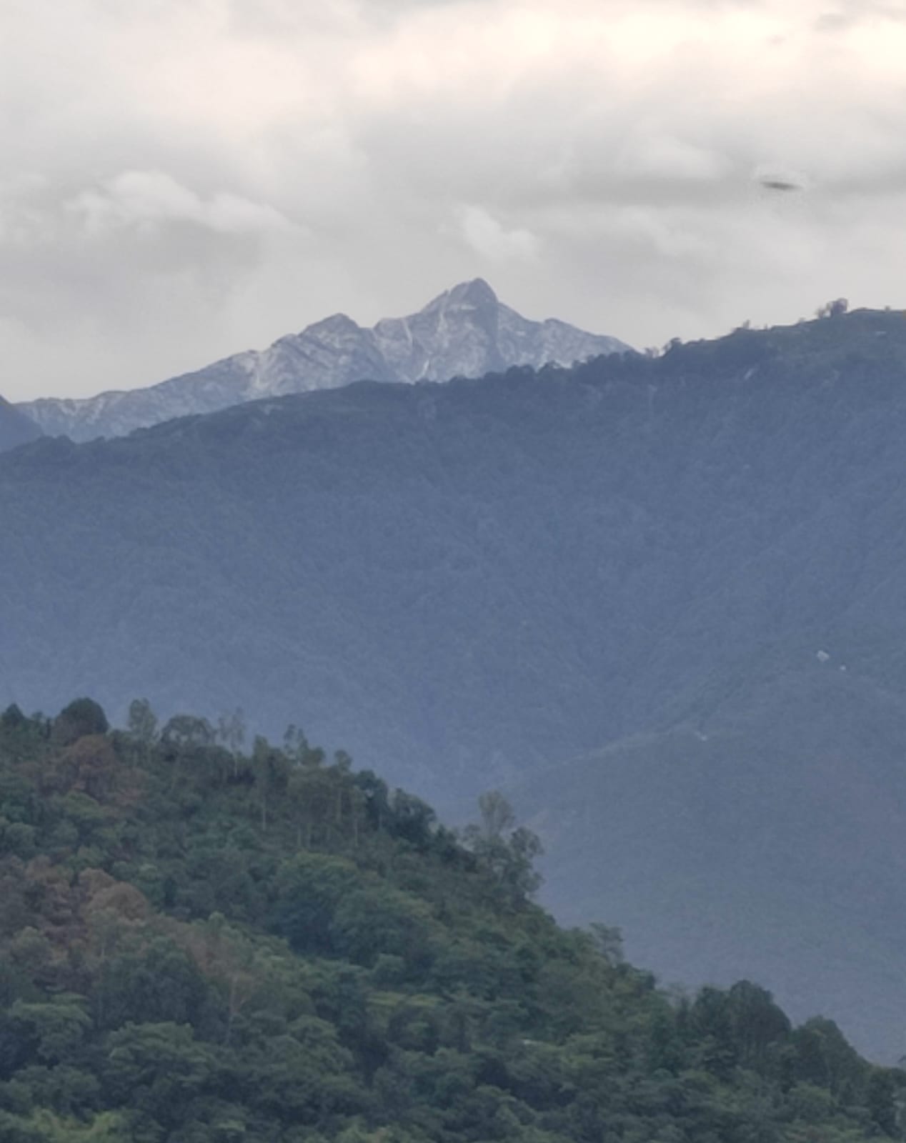 हिमाचल प्रदेश में पर्यटन स्थल पालमपुर